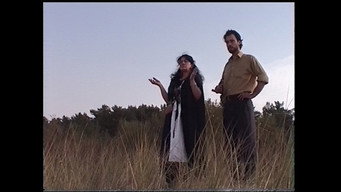 Witch (2021)