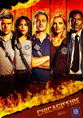 Chicago Fire - S5 - Affiche