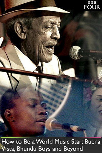 How to Be a World Music Star: Buena Vista, Bhundu Boys and Beyond (2013)
