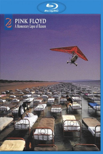 Pink Floyd - A Momentary Lapse Of Reason (Remixed & Updated)