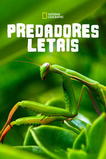 Poster de Predadores Letais