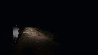 Fojos media image