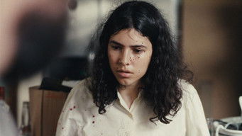 Galeria 4 - Tengo sueños eléctricos