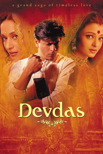 Foto 14 de Devdas