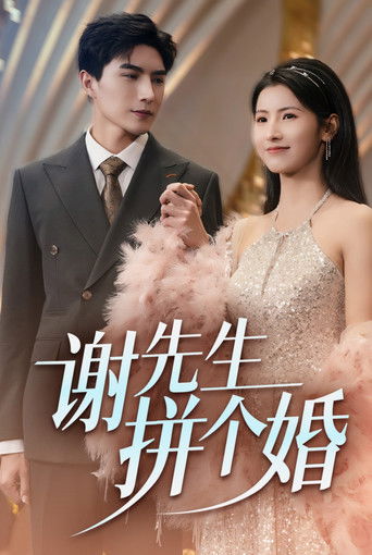 谢先生拼个婚 poster