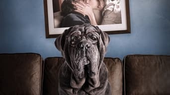 Galeria 2 - Buenos principios