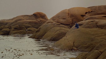 Red Moon Tide (2020)