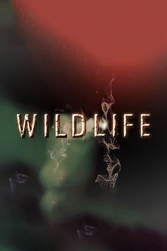 Wildlife poster