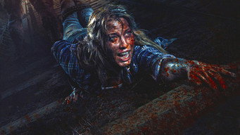 Diggers media image