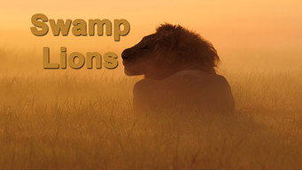 Swamp Lions (2010)