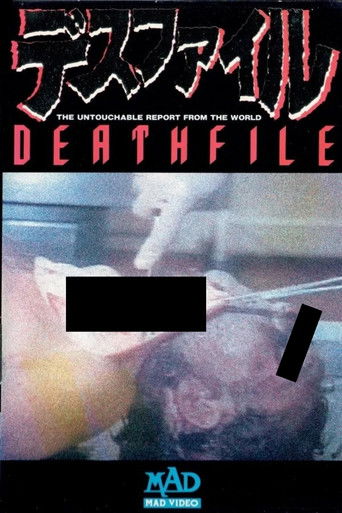 Death File 1 poster