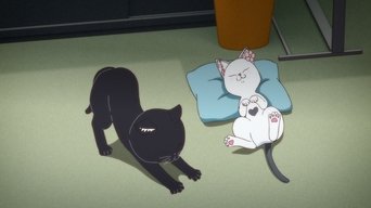 Cena de O Profissionalismo da Hana-chan/A Tigresa na Sala do Macarrão