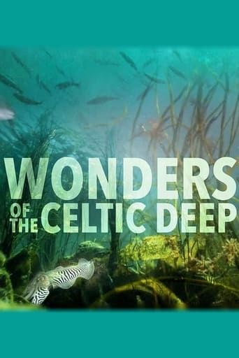 Wonders of the Celtic Deep torrent magnet 