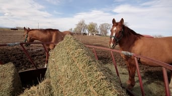 Rocky Mountain Animal Rescue (2018- )