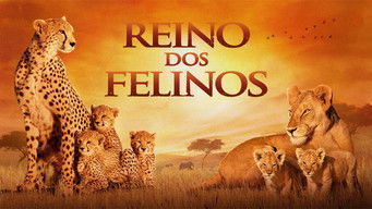 Cena de Reino dos Felinos