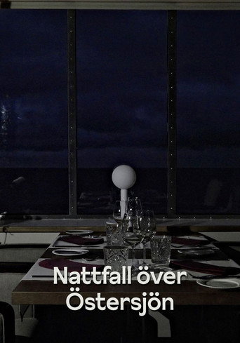 Nattfall &ouml;ver &Ouml;stersj&ouml;n / &Ouml;&ouml; Saabumine L&auml;&auml;nemeeel (2026)