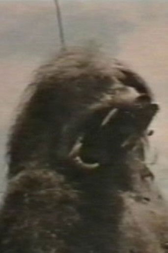 Africa addio (Plagium 11)