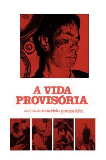 A Vida Provisória — Pôsteres 13