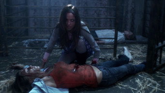 Toolbox Murders 2 (2013)