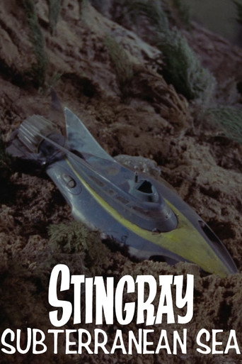 Stingray: Subterranean Sea