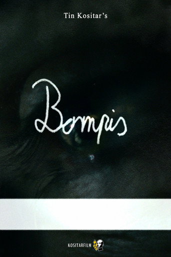 Affiche de Bompis