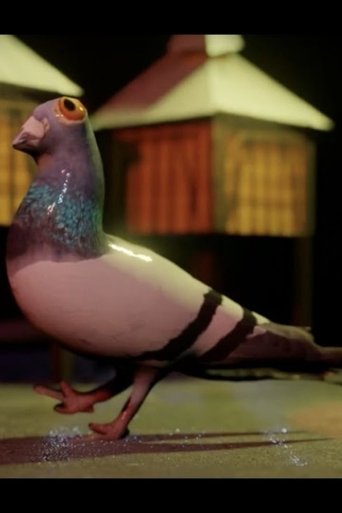 Du vélo à St-Malo, du kayak à St-Briac poster