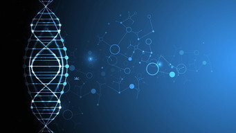 Q.E.D. (1982-1999)
