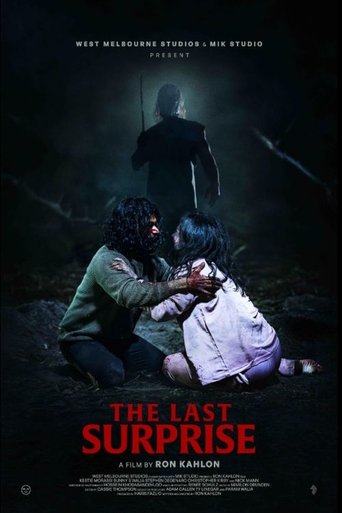 The Last Surprise poster
