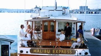 #25 Malibu Express