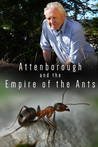 BBC 自然世界：沙漠蚂蚁帝国