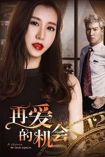 再爱的机会 poster