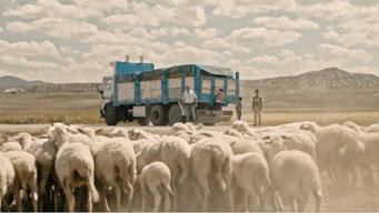 Truck media image