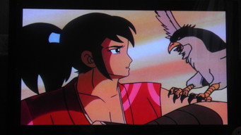 The Legend of Ninja Kamui (1969)