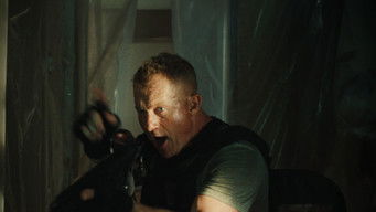 Galeria 5 - King Ivory