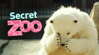 #4 Secret Zoo