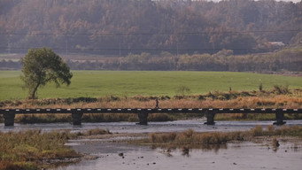 The Ripple (2022)