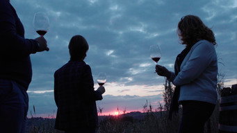 Caffè & Vino - Due mondi un documentario (2022)