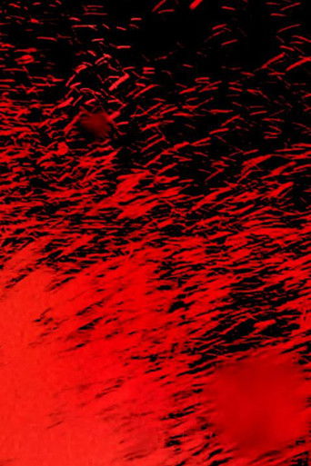 'I am so tired' poster