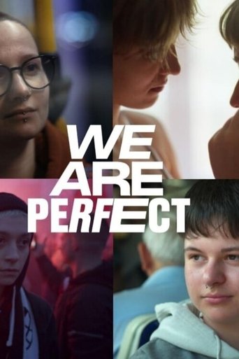 Poster of We Are Perfect