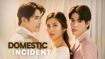 Domestic Incident (2024)