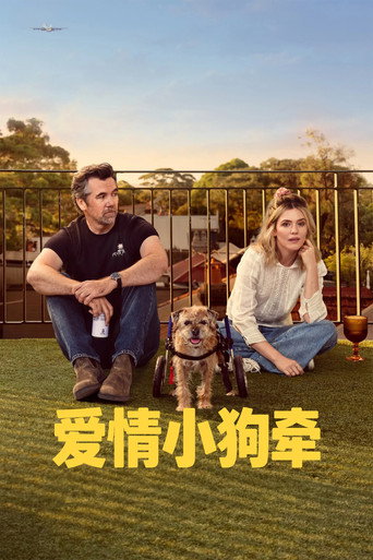 爱情小狗牵