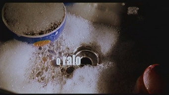 O Ralo (1999)