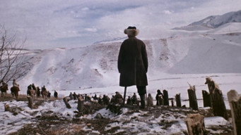Early Cranes (1980)