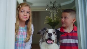 Uma Equipe Boa pra Cachorro