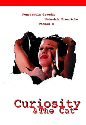Poster of Curiosity & the Cat