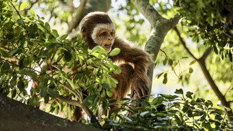 Episode 1 — Episode 1