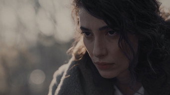 Episode 5 — A Plan for the Night