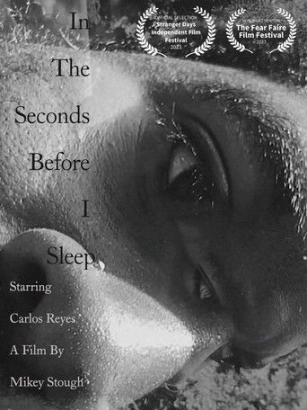 In the Seconds Before I Sleep