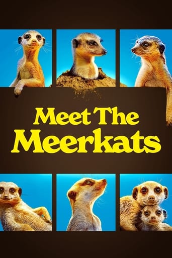 Meet The Meerkats - Season 1 2021