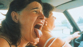 Dog Days (2001)